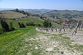 VBS_1009 - Torre dei Contini - Canelli (AT)